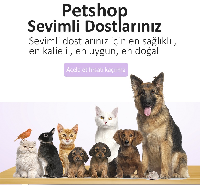 petshop